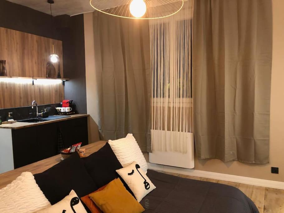 Le Tulum, T2, Hyper-Centre, Place Aux Herbes Mâcon Esterno foto